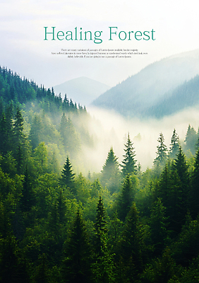 PSD 나무 편집이미지 자연 산 풍경 사람없음 안개 숲 힐링 이미지편집 식물 날씨 생태계 파일형식