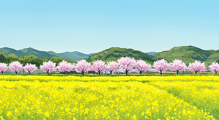 JPG 하늘색 일러스트 하늘 산 사람없음 제주도 봄풍경 기차 벚나무 유채밭 연노랑색 국내일러스트 AI일러스트 AI콘텐츠 나무 육상교통 밭 대중교통 한국 풍경 파란색 노란색 봄 벚꽃 유채 파일형식