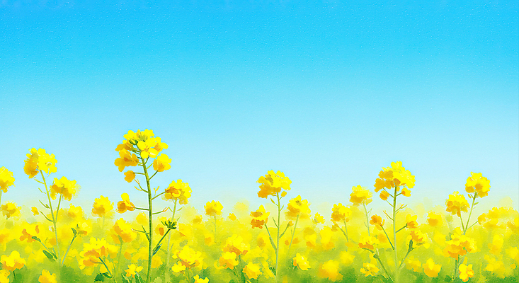 JPG 하늘색 일러스트 하늘 사람없음 제주도 봄풍경 유채밭 연노랑색 국내일러스트 AI일러스트 AI콘텐츠 밭 한국 풍경 파란색 노란색 봄 유채 파일형식