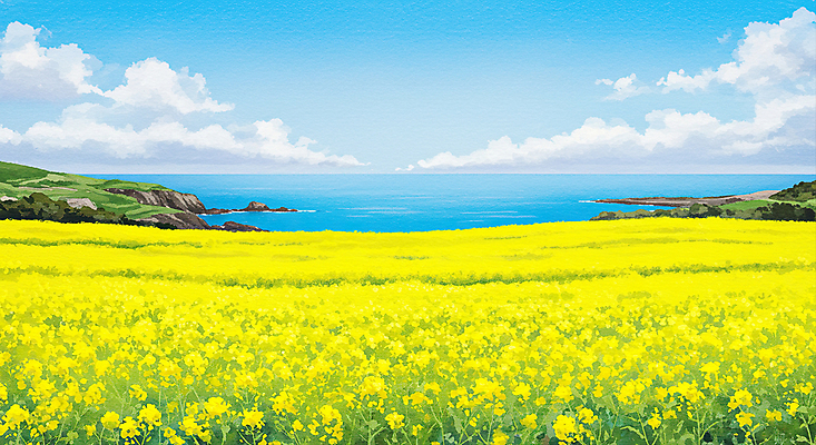 JPG 구름 바다 하늘색 일러스트 하늘 사람없음 제주도 봄풍경 유채밭 연노랑색 국내일러스트 AI일러스트 AI콘텐츠 자연요소 밭 한국 풍경 파란색 노란색 봄 유채 파일형식