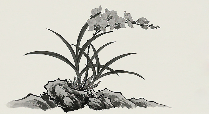 JPG 일러스트 붓터치 수묵화 사람없음 검은색 돌_바위 한국화 난초꽃 국내일러스트 AI일러스트 AI콘텐츠 꽃 컬러 미술 난초 동양화 파일형식