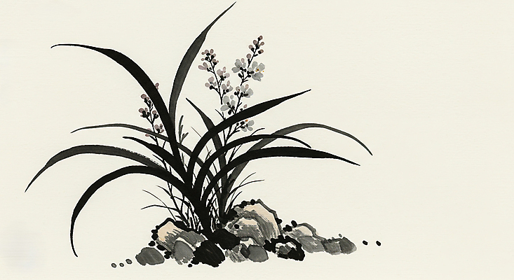 JPG 일러스트 붓터치 수묵화 사람없음 검은색 돌_바위 한국화 난초꽃 국내일러스트 AI일러스트 AI콘텐츠 꽃 컬러 미술 난초 동양화 파일형식