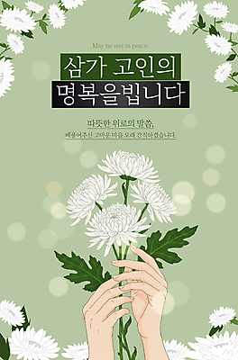 편집이미지 손 잎 국화 들기 신체부위 연두색 보케 애도 위로 장례 고인 장례식 이미지편집 AI파일 식물 꽃 모션 사람 초록색 파일형식 벡터