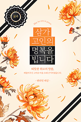 편집이미지 꽃잎 리본 잎 오렌지 국화 사람없음 애도 위로 장례 고인 연분홍색 장례식 이미지편집 AI파일 식물 꽃 분홍색 과일 파일형식 벡터
