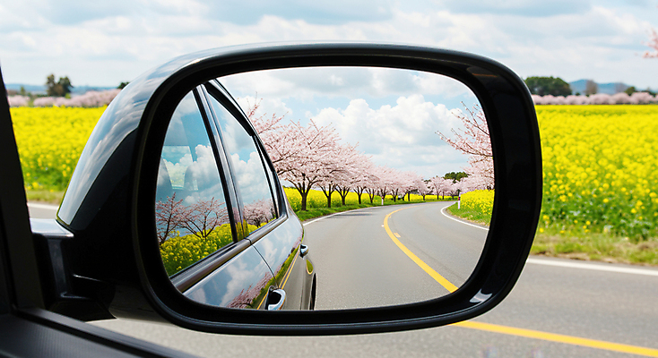 JPG 구름 편집이미지 도로 꽃밭 봄꽃 자동차 자연 하늘 사람없음 봄풍경 드라이브 벚나무 사이드미러 유채밭 편집실사 AI포토 AI콘텐츠 자연요소 나무 꽃 길 육상교통 밭 교통시설 풍경 봄 운전 벚꽃 CG 유채 생태계 파일형식