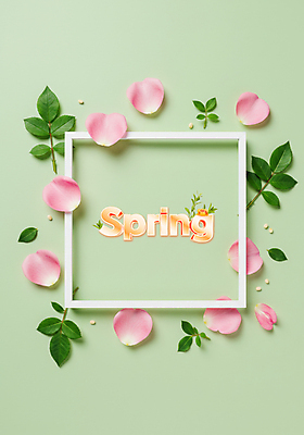 PSD 편집이미지 기념일 꽃잎 잎 봄꽃 사각프레임 사람없음 연두색 이미지편집 식물 꽃 프레임 이벤트 초록색 사각형 봄 파일형식