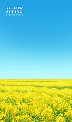 PSD 여행 꽃밭 일러스트 자연 하늘 따뜻함 초원 사람없음 관광지 제주도 노란색 봄풍경 유채 국내일러스트 꽃 컬러 한국 풍경 봄 생태계 파일형식