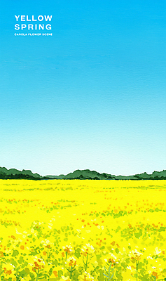 PSD 여행 꽃밭 일러스트 자연 하늘 산 따뜻함 초원 사람없음 관광지 제주도 노란색 봄풍경 유채 국내일러스트 꽃 컬러 한국 풍경 봄 생태계 파일형식