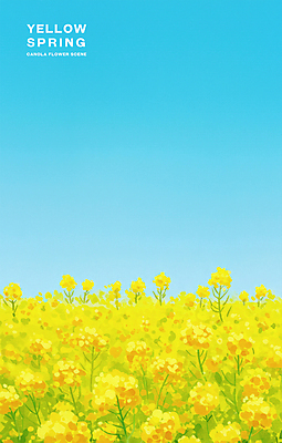 PSD 여행 꽃밭 일러스트 자연 하늘 따뜻함 초원 사람없음 관광지 제주도 노란색 봄풍경 유채 국내일러스트 꽃 컬러 한국 풍경 봄 생태계 파일형식