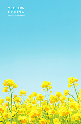 PSD 여행 꽃밭 일러스트 자연 하늘 따뜻함 초원 사람없음 관광지 제주도 노란색 봄풍경 유채 국내일러스트 꽃 컬러 한국 풍경 봄 생태계 파일형식