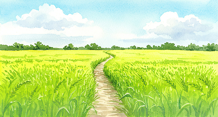 JPG 구름 길 일러스트 자연 하늘 초원 사람없음 초록색 여름풍경 봄풍경 시원함 청보리 청보리밭 국내일러스트 AI일러스트 AI콘텐츠 자연요소 컬러 밭 풍경 봄 생태계 보리 파일형식 여름_계절