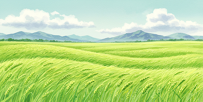 JPG 구름 일러스트 자연 하늘 산 초원 사람없음 초록색 여름풍경 봄풍경 시원함 청보리 청보리밭 국내일러스트 AI일러스트 AI콘텐츠 자연요소 컬러 밭 풍경 봄 생태계 보리 파일형식 여름_계절