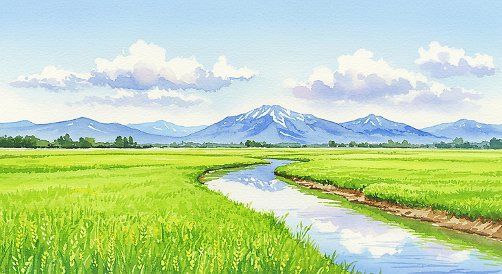 JPG 구름 일러스트 자연 하늘 산 초원 사람없음 초록색 여름풍경 봄풍경 개울 시원함 청보리 청보리밭 국내일러스트 AI일러스트 AI콘텐츠 자연요소 컬러 밭 풍경 강 봄 생태계 보리 파일형식 여름_계절