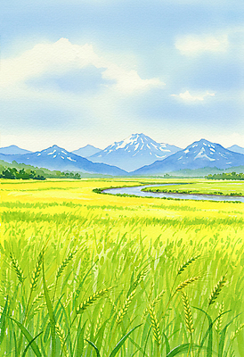 JPG 구름 일러스트 자연 하늘 산 초원 사람없음 초록색 여름풍경 봄풍경 개울 시원함 청보리 청보리밭 국내일러스트 AI일러스트 AI콘텐츠 자연요소 컬러 밭 풍경 강 봄 생태계 보리 파일형식 여름_계절