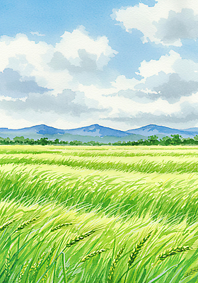 JPG 구름 일러스트 자연 하늘 산 초원 사람없음 초록색 여름풍경 봄풍경 시원함 청보리 청보리밭 국내일러스트 AI일러스트 AI콘텐츠 자연요소 컬러 밭 풍경 봄 생태계 보리 파일형식 여름_계절