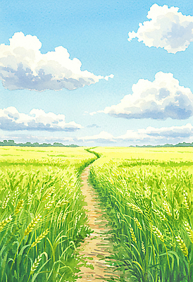 JPG 구름 길 일러스트 자연 하늘 초원 사람없음 초록색 여름풍경 봄풍경 시원함 청보리 청보리밭 국내일러스트 AI일러스트 AI콘텐츠 자연요소 컬러 밭 풍경 봄 생태계 보리 파일형식 여름_계절