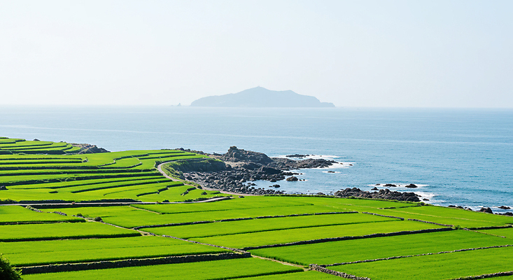 JPG 편집이미지 바다 섬 하늘 풍경 사람없음 돌_바위 청보리 청보리밭 편집실사 AI포토 AI콘텐츠 밭 CG 보리 파일형식