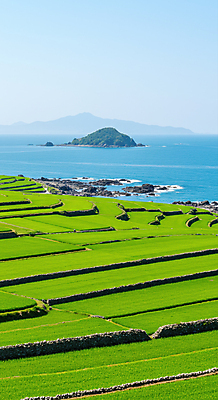 JPG 편집이미지 바다 섬 하늘 풍경 사람없음 돌_바위 청보리 청보리밭 편집실사 AI포토 AI콘텐츠 밭 CG 보리 파일형식