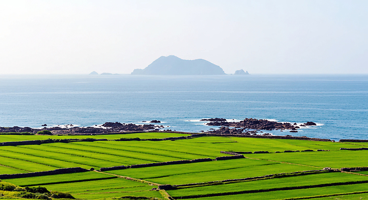 JPG 편집이미지 바다 섬 하늘 풍경 사람없음 돌_바위 청보리 청보리밭 편집실사 AI포토 AI콘텐츠 밭 CG 보리 파일형식