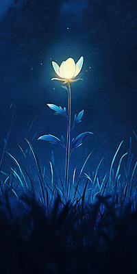 JPG 꽃 한송이 일러스트 사람없음 빛 어둠 고요 풀 야간 신비 국내일러스트 AI일러스트 AI콘텐츠 자연요소 식물 1 컨셉 송이 파일형식