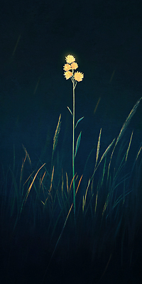 JPG 꽃 한송이 일러스트 사람없음 빛 어둠 고요 풀 야간 신비 국내일러스트 AI일러스트 AI콘텐츠 자연요소 식물 1 컨셉 송이 파일형식