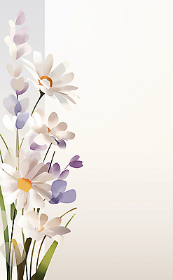 JPG 꽃 일러스트 사람없음 흰색 풀잎 우아함 보테니컬아트 국내일러스트 AI일러스트 AI콘텐츠 식물 컬러 컨셉 잎 풀_식물 파일형식