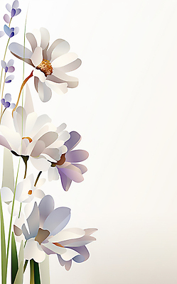 JPG 꽃 일러스트 사람없음 흰색 풀잎 우아함 보테니컬아트 국내일러스트 AI일러스트 AI콘텐츠 식물 컬러 컨셉 잎 풀_식물 파일형식