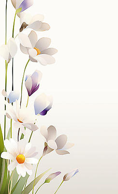 JPG 일러스트 사람없음 흰색 풀잎 우아함 꽃봉오리 보테니컬아트 국내일러스트 AI일러스트 AI콘텐츠 꽃 컬러 컨셉 잎 풀_식물 파일형식