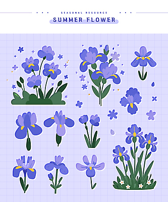 스티커 잎 일러스트 여름꽃 사람없음 세트 보라색 꽃봉오리 아이리스 엘리먼트 국내일러스트 AI파일 식물 꽃 컬러 파일형식 벡터 여름_계절