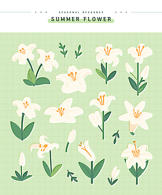 스티커 잎 일러스트 여름꽃 사람없음 연두색 세트 꽃봉오리 담백한맛 엘리먼트 국내일러스트 AI파일 식물 꽃 초록색 맛 파일형식 벡터 여름_계절