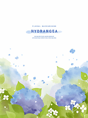 PSD 잎 일러스트 여름꽃 수채화 사람없음 수국 국내일러스트 식물 꽃 파일형식 여름_계절