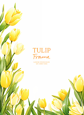 PSD 잎 일러스트 수채화 사람없음 노란색 봄 튤립 꽃프레임 카피스페이스 국내일러스트 식물 계절 꽃 컬러 프레임 공백 파일형식