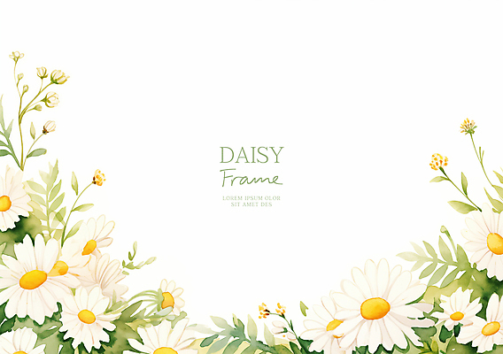 PSD 잎 일러스트 사람없음 봄 흰색 데이지 꽃프레임 카피스페이스 국내일러스트 식물 계절 꽃 컬러 프레임 공백 파일형식