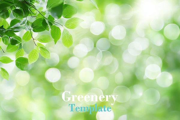 PSD 편집이미지 자연 나뭇잎 사람없음 초록색 햇빛 보케 이미지편집 컬러 잎 태양 생태계 파일형식