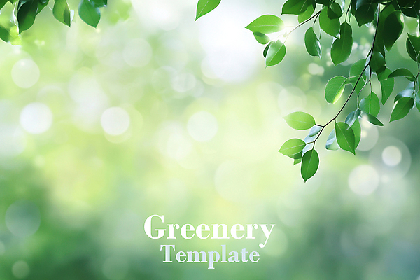 PSD 편집이미지 자연 나뭇잎 사람없음 초록색 햇빛 보케 이미지편집 컬러 잎 태양 생태계 파일형식