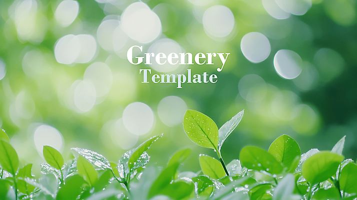 PSD 편집이미지 자연 나뭇잎 사람없음 초록색 햇빛 보케 이미지편집 컬러 잎 태양 생태계 파일형식