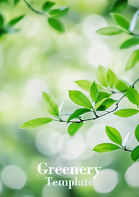 PSD 편집이미지 자연 나뭇잎 사람없음 초록색 햇빛 보케 이미지편집 컬러 잎 태양 생태계 파일형식