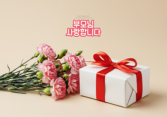 PSD 편집이미지 리본 사랑 사람없음 선물상자 마음 카네이션 꽃봉오리 감사 가정의달 베이지색 은혜 이미지편집 꽃 감정 컬러 선물 상자 5월 파일형식