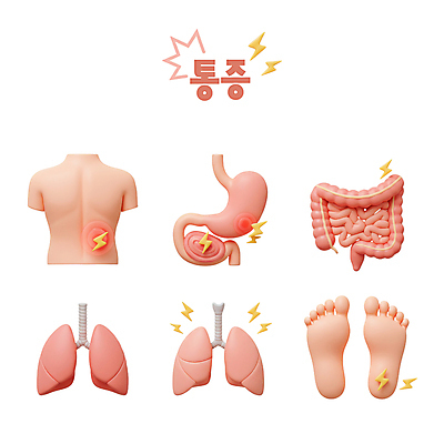 PSD 편집이미지 신체 신체부위 3D 등 허파 허리 대장 소장 발바닥 위장 번개모양 허리통증 편집3D 모양 발 사람 고통 장기_의학 호흡기관 번개 디지털합성 파일형식
