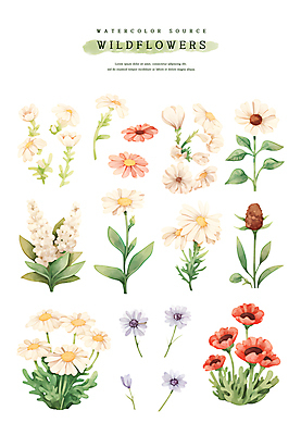 PSD 스티커 잎 일러스트 수채화 사람없음 세트 들꽃 엘리먼트 국내일러스트 식물 꽃 파일형식