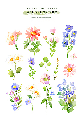 PSD 꽃잎 스티커 잎 일러스트 수채화 사람없음 세트 들꽃 엘리먼트 국내일러스트 식물 꽃 파일형식