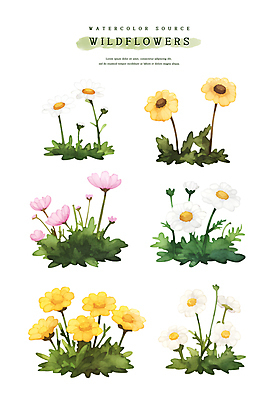 PSD 스티커 잎 일러스트 수채화 사람없음 세트 들꽃 꽃봉오리 엘리먼트 국내일러스트 식물 꽃 파일형식