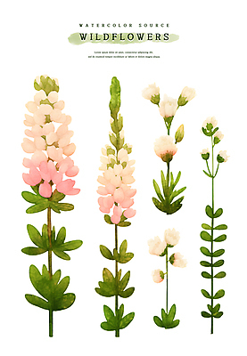 PSD 스티커 잎 일러스트 수채화 사람없음 세트 들꽃 엘리먼트 국내일러스트 식물 꽃 파일형식