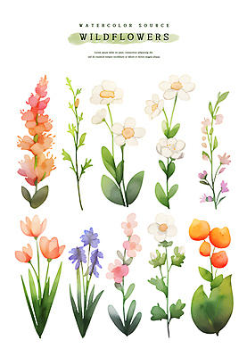 PSD 스티커 잎 일러스트 수채화 사람없음 세트 들꽃 엘리먼트 국내일러스트 식물 꽃 파일형식