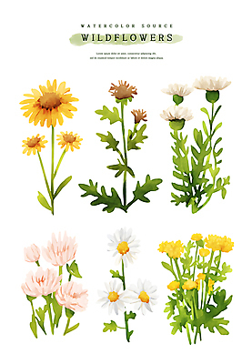 PSD 스티커 잎 일러스트 수채화 사람없음 세트 들꽃 엘리먼트 국내일러스트 식물 꽃 파일형식