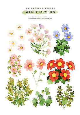 PSD 꽃잎 스티커 잎 일러스트 수채화 사람없음 세트 들꽃 풀 엘리먼트 국내일러스트 식물 꽃 파일형식