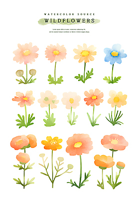 PSD 스티커 잎 일러스트 수채화 사람없음 세트 들꽃 엘리먼트 국내일러스트 식물 꽃 파일형식