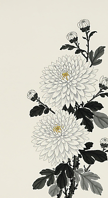 JPG 잎 일러스트 캘리그라피 국화 수묵화 사람없음 꽃봉오리 한국화 애도 추모 국내일러스트 AI일러스트 AI콘텐츠 식물 꽃 미술 동양화 파일형식