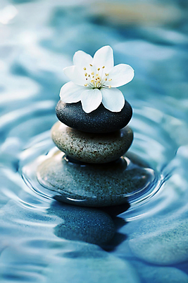 JPG 편집이미지 꽃 물결 휴식 사람없음 파란색 평화 수면 명상 힐링 편집실사 젠 AI포토 AI콘텐츠 식물 컬러 컨셉 물 쌓기 돌_바위 CG 파일형식