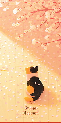 PSD 꽃잎 엎드리기 일러스트 그림자 사람없음 햇빛 봄풍경 벚나무 살구색 삼색고양이 국내일러스트 나무 꽃 컬러 모션 풍경 태양 고양이 봄 벚꽃 파일형식